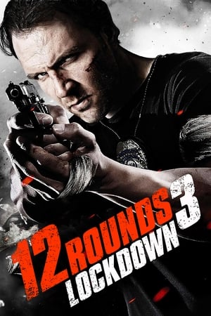 12 Rounds 3 Lockdown 2015 Hindi Dual Audio 300MB HD Poster Download - filmyfly
