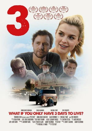 3: The Movie (2025) Hindi (MULTI AUDIO) – – HD Poster Download - filmyfly