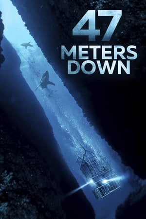 47 Metres Down (2017) Hindi Dual Audio 300MB HD Poster Download - filmyfly