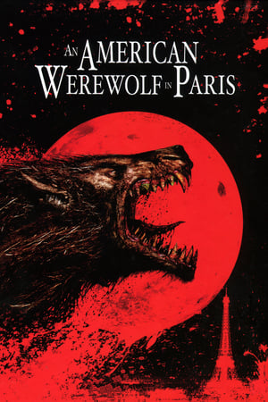 An American Werewolf in Paris 1997 Hindi Dual Audio 300MB HD Poster Download - filmyfly