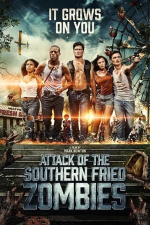 Attack of the Southern Fried Zombies (2017) Hindi Dual Audio 300MB HD Poster Download - filmyfly