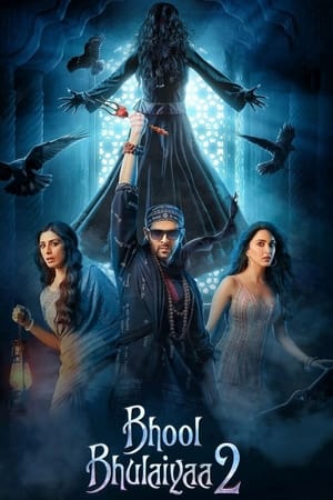 Bhool Bhulaiyaa 2 2022 Hindi Movie – HD Poster Download - filmyfly