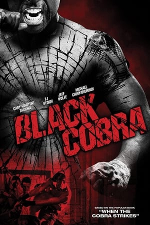 Black Cobra (2012) Hindi Dual Audio 300MB HD Poster Download - filmyfly