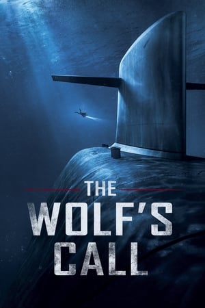 Call (2020) Hindi Dual Audio [1.1GB] HD Poster Download - filmyfly