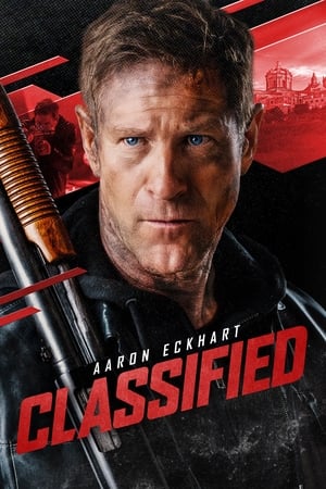 Classified 2024 Hindi Subbed HD Poster Download - filmyfly