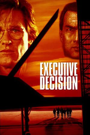 Executive Decision (1996) Hindi Dual Audio 400MB HD Poster Download - filmyfly