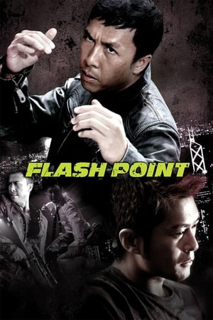 Flash Point (2007) Hindi Dual Audio 300MB HD Poster Download - filmyfly