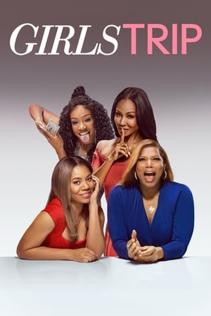 Girls Trip (2017) Hindi Dual Audio 400MB HD Poster Download - filmyfly