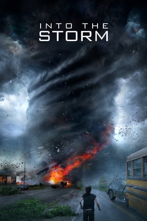 Into the Storm (2014) Hindi Dual Audio 300MB HD Poster Download - filmyfly