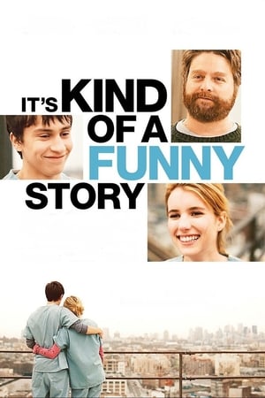 Its Kind of a Funny Story 2010 Hindi Dual Audio 330MB HD Poster Download - filmyfly