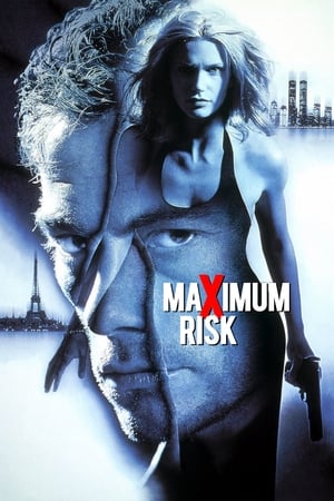 Maximum Risk (1996) Hindi Dual Audio [850MB] HD Poster Download - filmyfly
