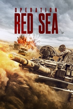 Operation Red Sea (2018) Hindi Dual Audio [1.3GB] HD Poster Download - filmyfly
