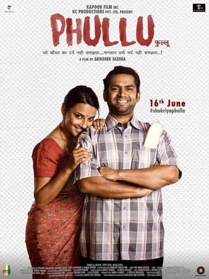 Phullu 2017 300MB Full Movie DTHRip Download HD Poster Download - filmyfly