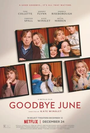 Goodbye June 2025 Hindi Dual Audio HD Poster Download - filmyfly