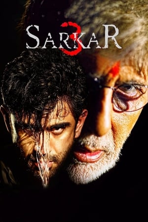 Sarkar 3 (2017) Full Movie pDVDRip [700MB] Download HD Poster Download - filmyfly