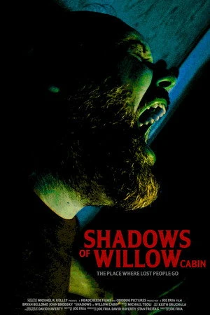 Shadows of Willow Cabin 2025 Hindi Dual Audio HD Poster Download - filmyfly