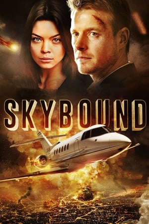 Skybound (2017) Hindi Dual Audio 350MB HD Poster Download - filmyfly