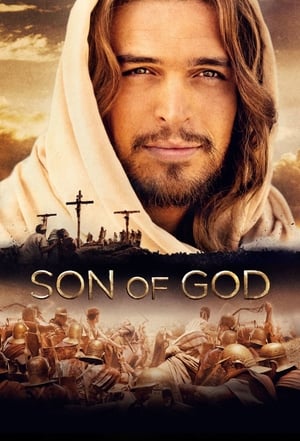 Son of God 2014 Hindi Dual Audio 450MB HD Poster Download - filmyfly