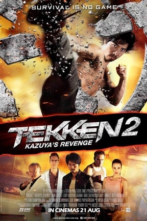Tekken Kazuyas Revenge 2014 Hindi Dual Audio 300MB HD Poster Download - filmyfly