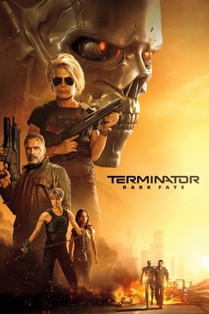 Terminator: Dark Fate (2019) Hindi (Org) Dual Audio [1GB] HD Poster Download - filmyfly