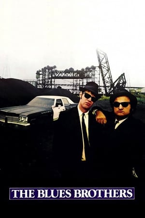 The Blues Brothers (1980) Hindi Dual Audio 450MB ESubs HD Poster Download - filmyfly