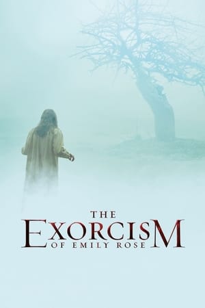 The Exorcism of Emily Rose (2005) Hindi Dual Audio 400MB HD Poster Download - filmyfly