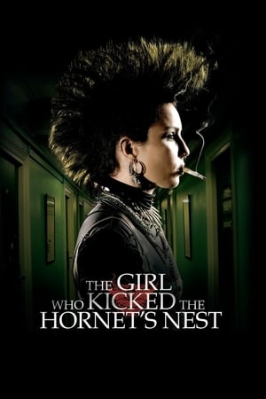The Girl Who Kicked the Hornet's Nest (2009) Hindi Dual Audio [1.2GB] HD Poster Download - filmyfly
