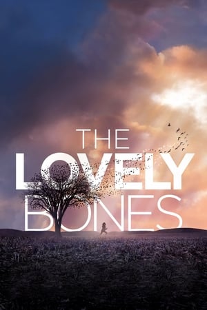 The Lovely Bones (2009) Hindi Dual Audio 430MB HD Poster Download - filmyfly