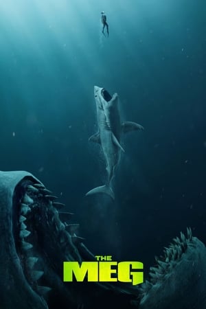 The Meg (2018) Hindi (Org) Dual Audio [1.1GB] HD Poster Download - filmyfly