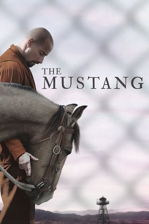 The Mustang (2019) Hindi Dual Audio 300MB HD Poster Download - filmyfly