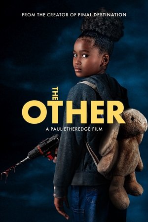 The Other (2025) Hindi (MULTI AUDIO) – – HD Poster Download - filmyfly