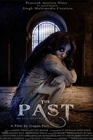 The Past 2018 Hindi Movie - [350MB] HD Poster Download - filmyfly