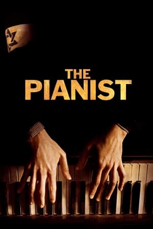The Pianist (2002) Hindi Dual Audio 450MB HD Poster Download - filmyfly