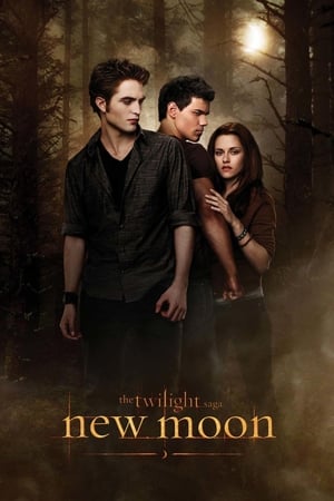 The Twilight Saga New Moon (2009) Hindi Dual Audio [1.0GB] Download HD Poster Download - filmyfly