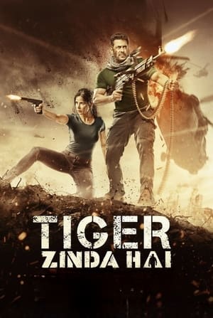 Tiger Zinda Hai 2017 490MB Movie Download HD Poster Download - filmyfly