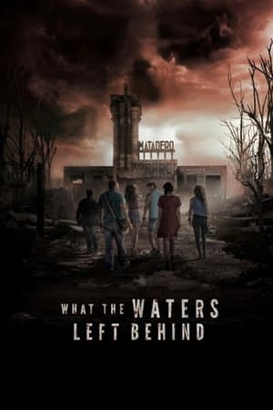 What the Waters Left Behind 2017 Hindi Dual Audio – HD Poster Download - filmyfly